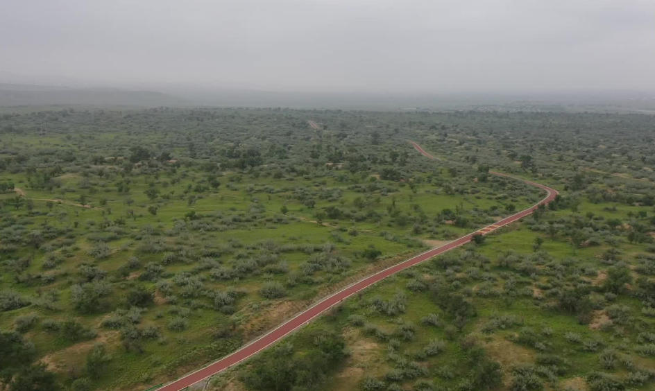 国际防治沙尘暴日｜治沙者说：与风沙博弈的智慧